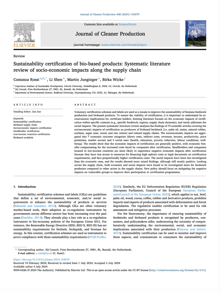 Thumbnail first pdf page of the publication by Rossi et al. 2024