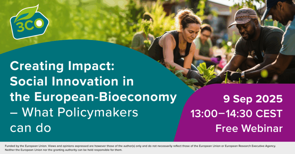 25 07 03 3co banner creating impact 1